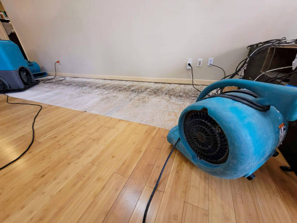 Professional Basement Flood Cleanup technician working in Eltopia, WA